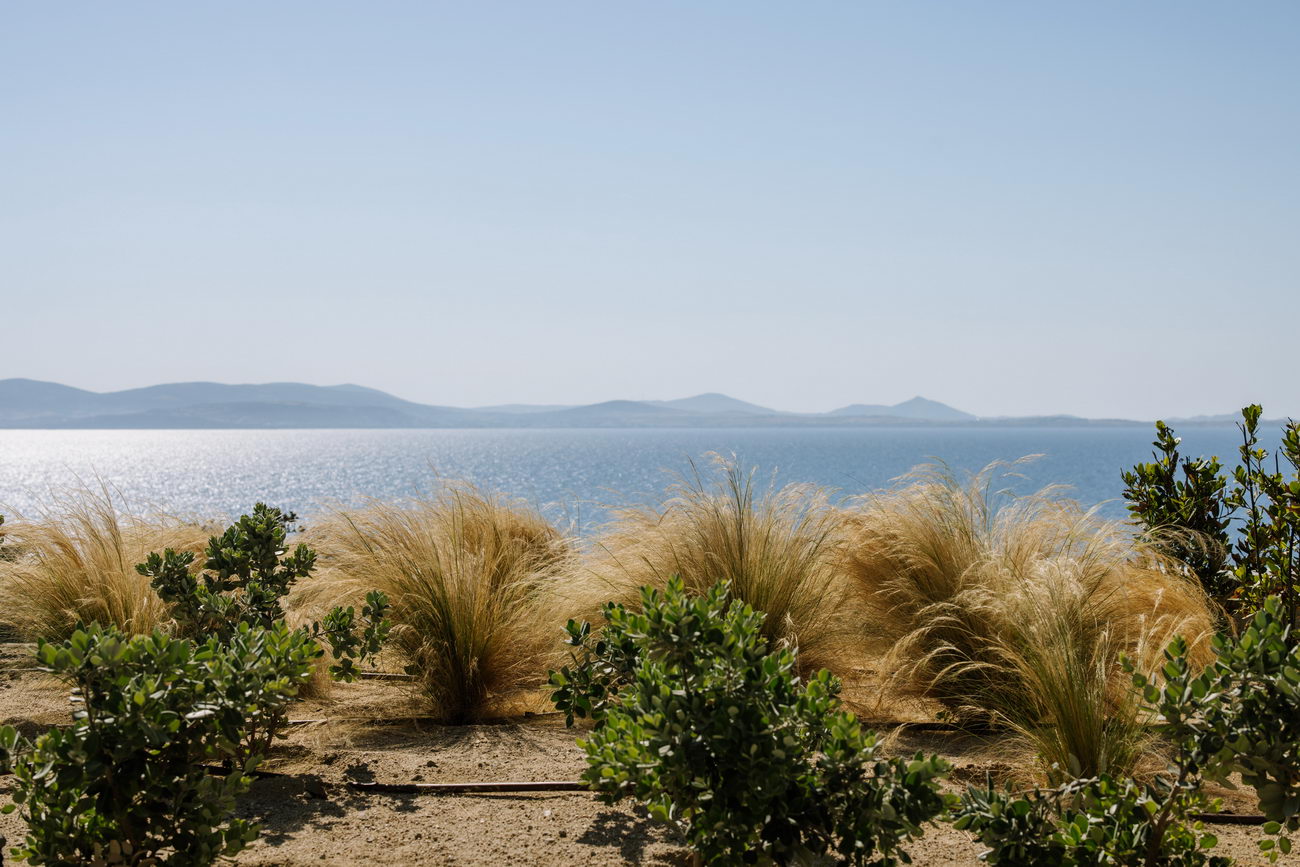 Naxos Royal Villas photo 7